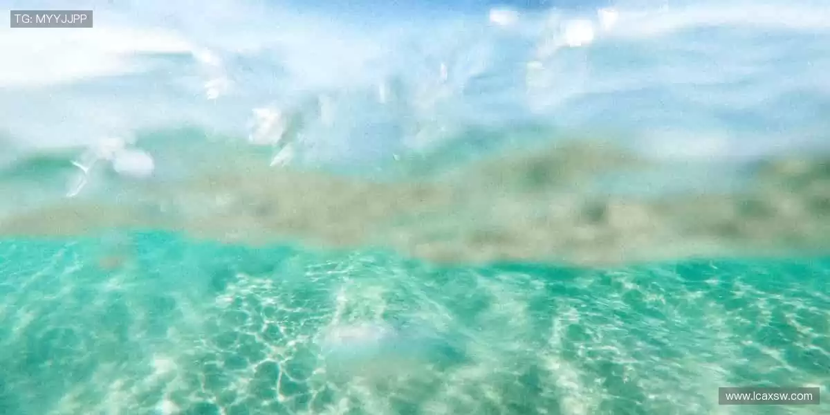 赛事回放随时重温,精彩瞬间不容错过📺